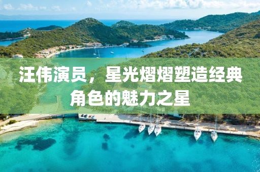 汪伟演员，星光熠熠塑造经典角色的魅力之星