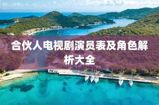合伙人电视剧演员表及角色解析大全