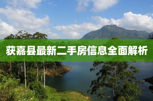 睡眠艺术家 第4页