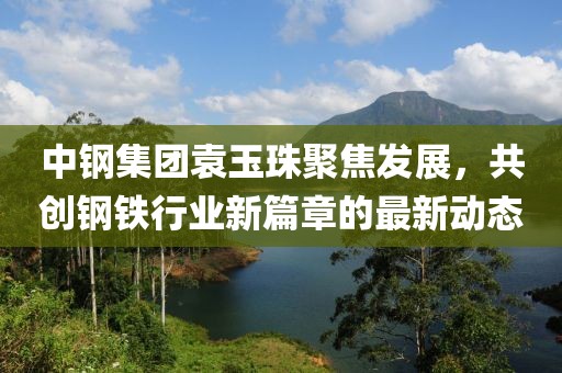 中钢集团袁玉珠聚焦发展，共创钢铁行业新篇章的最新动态