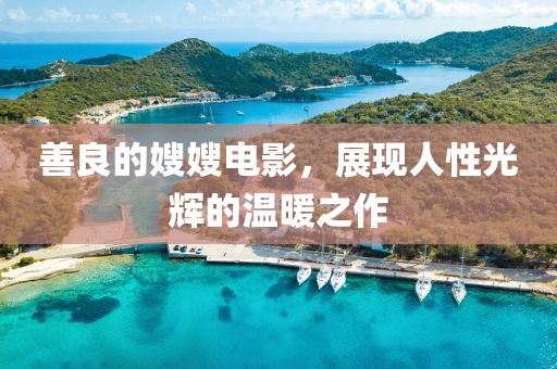 善良的嫂嫂电影，展现人性光辉的温暖之作