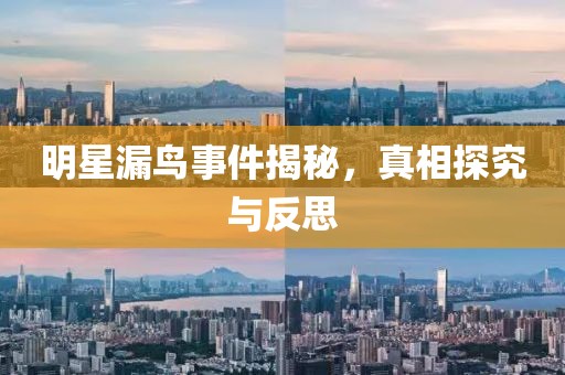 明星漏鸟事件揭秘，真相探究与反思