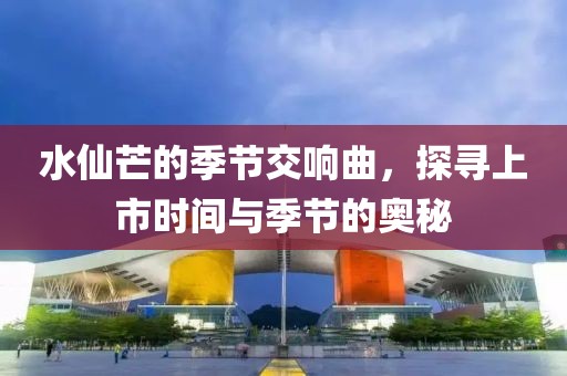 水仙芒的季节交响曲，探寻上市时间与季节的奥秘
