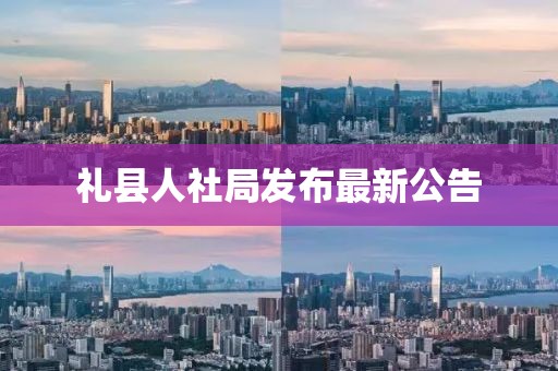 礼县人社局发布最新公告