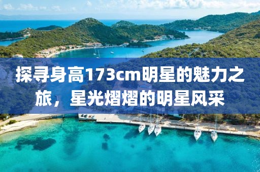 探寻身高173cm明星的魅力之旅，星光熠熠的明星风采