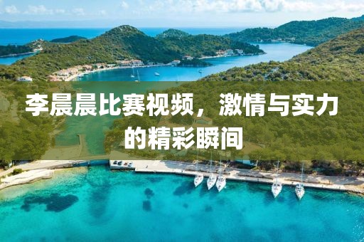 李晨晨比赛视频，激情与实力的精彩瞬间