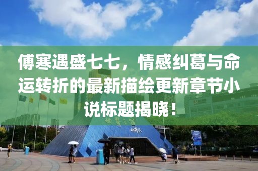 傅寒遇盛七七，情感纠葛与命运转折的最新描绘更新章节小说标题揭晓！