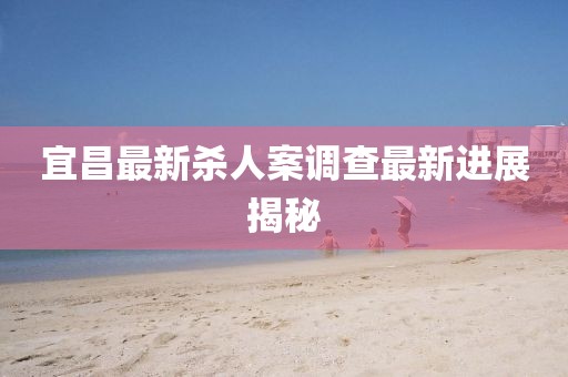 宜昌最新杀人案调查最新进展揭秘