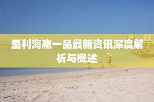垦利海赢一品最新资讯深度解析与概述