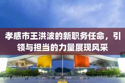 孝感市王洪波的新职务任命，引领与担当的力量展现风采