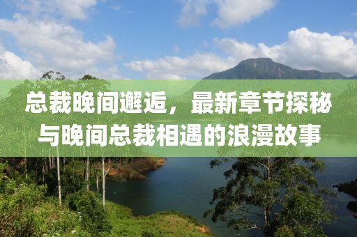 总裁晚间邂逅，最新章节探秘与晚间总裁相遇的浪漫故事