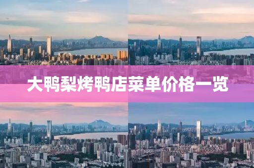 大鸭梨烤鸭店菜单价格一览