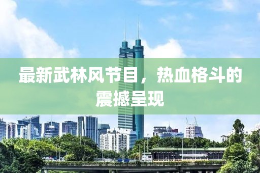 最新武林风节目，热血格斗的震撼呈现