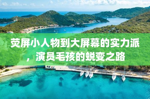 荧屏小人物到大屏幕的实力派，演员毛孩的蜕变之路