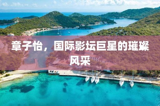 章子怡，国际影坛巨星的璀璨风采