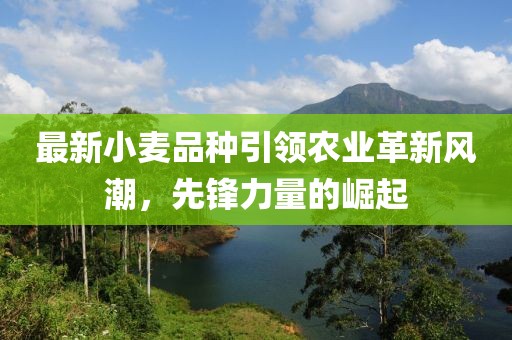 最新小麦品种引领农业革新风潮，先锋力量的崛起