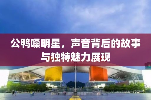 公鸭嗓明星，声音背后的故事与独特魅力展现