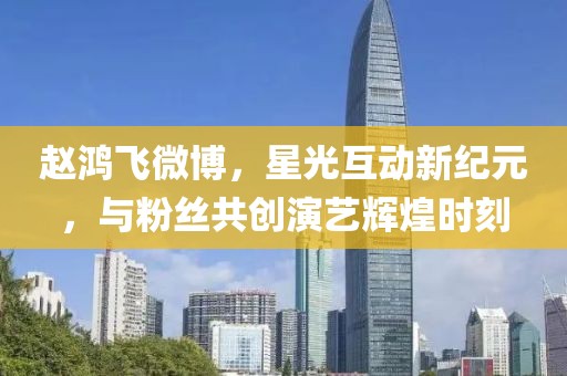 赵鸿飞微博，星光互动新纪元，与粉丝共创演艺辉煌时刻