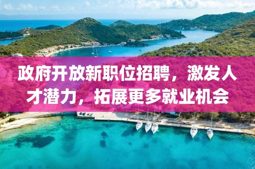 政府开放新职位招聘，激发人才潜力，拓展更多就业机会