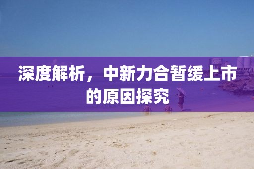 深度解析，中新力合暂缓上市的原因探究