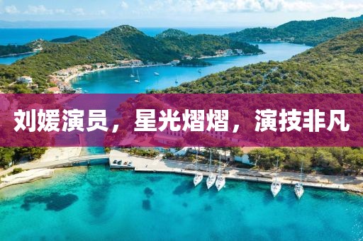 刘媛演员，星光熠熠，演技非凡