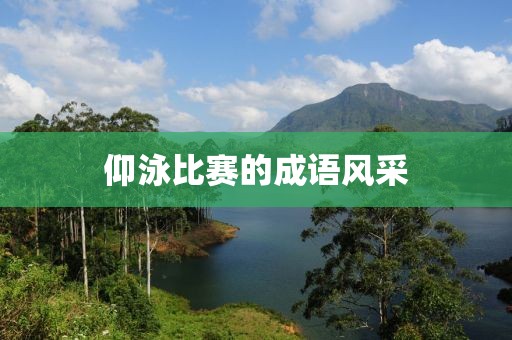 仰泳比赛的成语风采