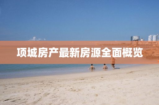 项城房产最新房源全面概览