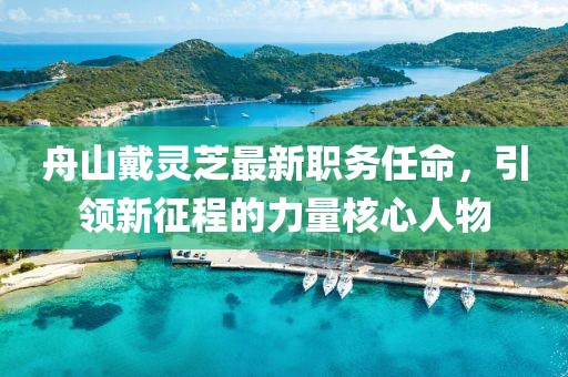 舟山戴灵芝最新职务任命，引领新征程的力量核心人物