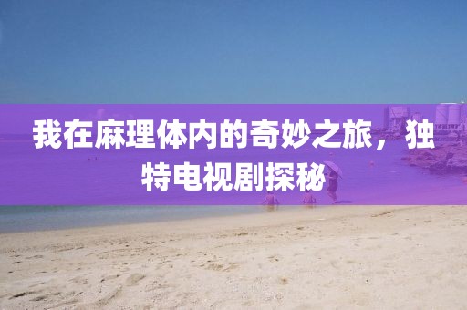 我在麻理体内的奇妙之旅，独特电视剧探秘