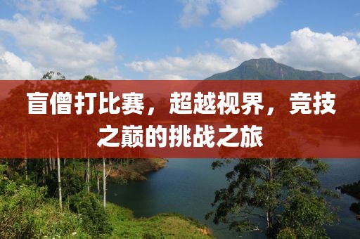 盲僧打比赛，超越视界，竞技之巅的挑战之旅