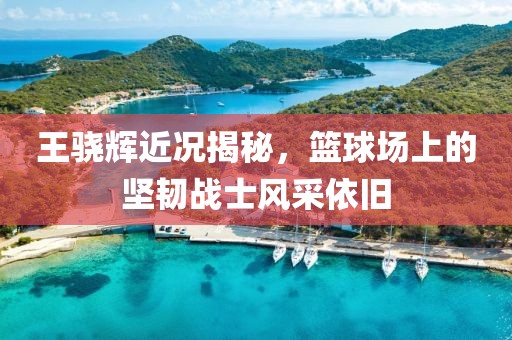 王骁辉近况揭秘，篮球场上的坚韧战士风采依旧