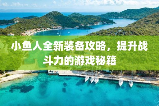 小鱼人全新装备攻略，提升战斗力的游戏秘籍