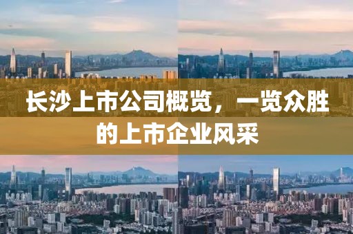 长沙上市公司概览，一览众胜的上市企业风采