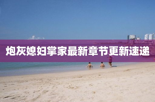 炮灰媳妇掌家最新章节更新速递