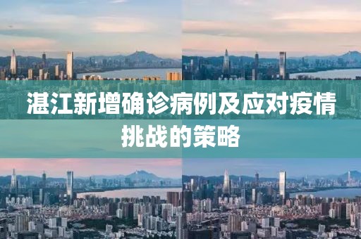 湛江新增确诊病例及应对疫情挑战的策略