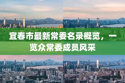 宜春市最新常委名录概览，一览众常委成员风采