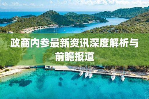 政商内参最新资讯深度解析与前瞻报道