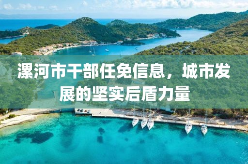 漯河市干部任免信息，城市发展的坚实后盾力量