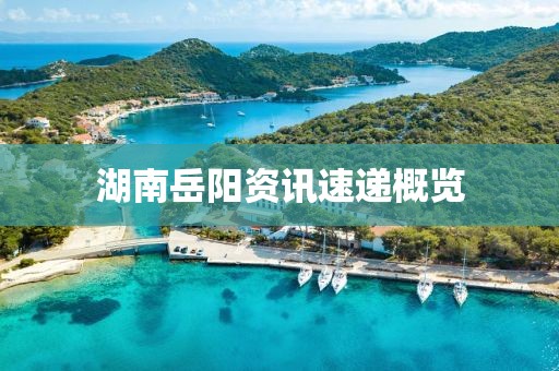 湖南岳阳资讯速递概览