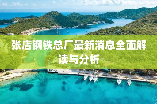 张店钢铁总厂最新消息全面解读与分析