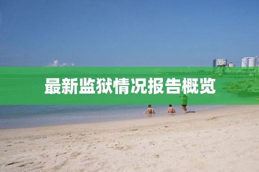 加勒比海带 第2页