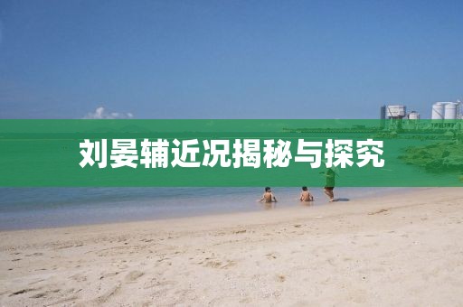 刘晏辅近况揭秘与探究