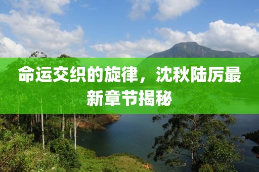 命运交织的旋律，沈秋陆厉最新章节揭秘