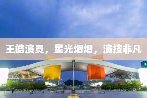 王皓演员，星光熠熠，演技非凡
