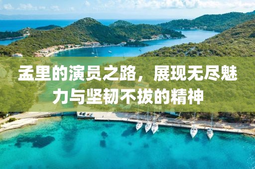 孟里的演员之路，展现无尽魅力与坚韧不拔的精神