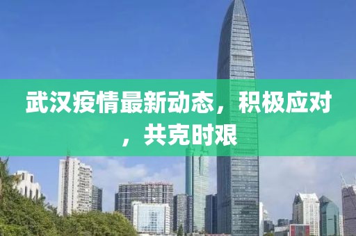 武汉疫情最新动态，积极应对，共克时艰