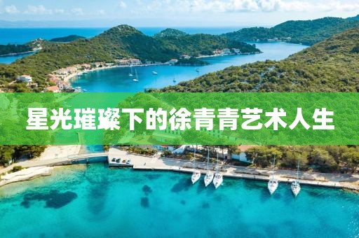 星光璀璨下的徐青青艺术人生