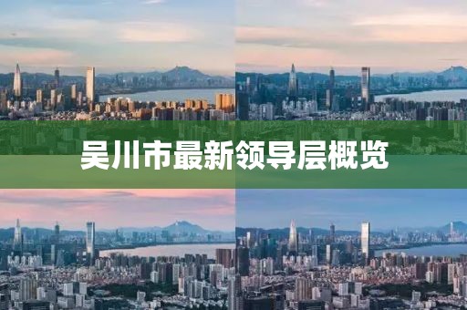 吴川市最新领导层概览