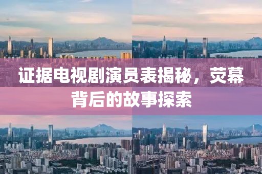 证据电视剧演员表揭秘，荧幕背后的故事探索