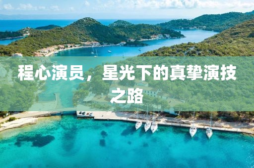 程心演员，星光下的真挚演技之路